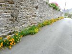 Plouaret-rue fleurie-site 2